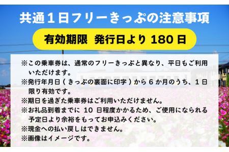 「えちぜん鉄道・福井鉄道ふるさと納税記念品共通1日フリーきっぷ」セット [A-039004]