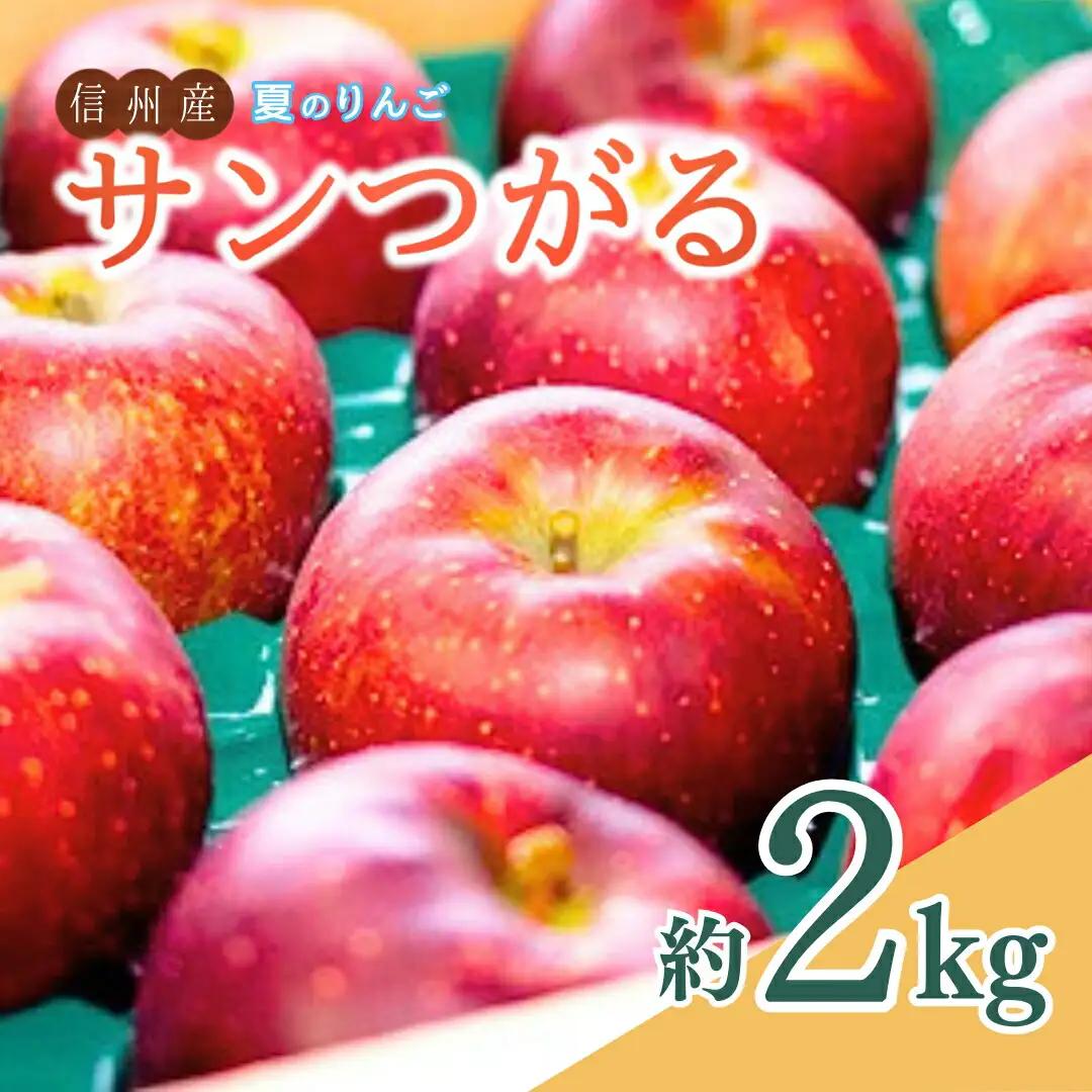 夏のりんご サンつがる 約2kg ｜ りんご
