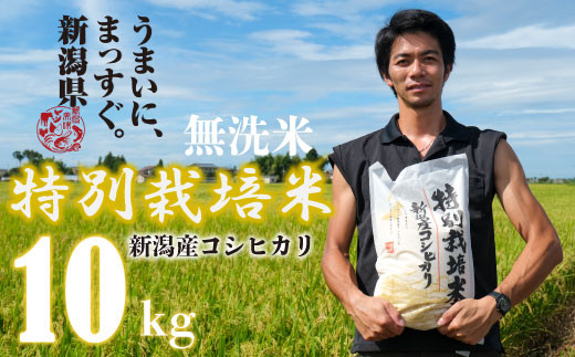 新米 無洗米 コシヒカリ 10kg 令和6年産 5kg×2袋 特別栽培米 こしひかり ご飯 備蓄 コメ お米 米 こめ しんまい 新潟産 新潟米 新潟県 新潟 新発田 新発田市 国産 斗伸