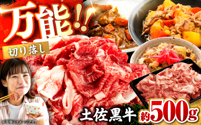 土佐黒牛　切り落し　約500g【高知県食肉センター株式会社】 [ATFC020]