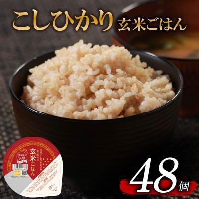 ふるさと納税 松原市 こだわり玄米ごはん 120g×48個 国産コシヒカリ パックご飯 常温保存できる玄米パック 米匠庵