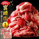 【ふるさと納税】訳あり 宮崎牛 切り落とし 1kg 贈り物 肉質等級 4等級以上 日本食肉格付協会 格付 地域団体商標 登録 地域ブランド 家族 友人 宮崎県 延岡市 レグセントジョイラー株式会社 お取り寄せ 送料無料