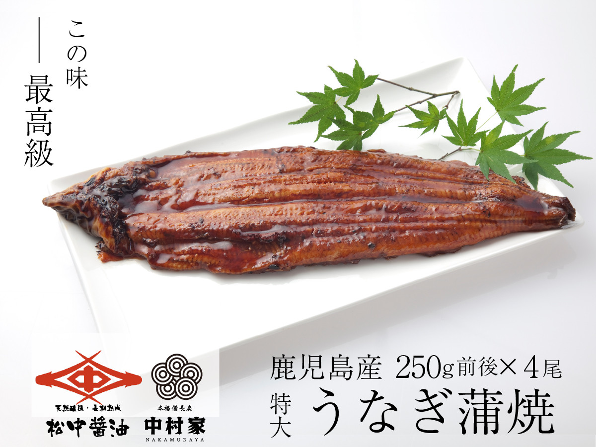 
【120年老舗醤油蔵仕込みのたれと関門の塩】高級 鰻 蒲焼（250g前後）×4尾 合計1000g前後 タレボトル1本 山椒小袋 うなぎ 蒲焼き 冷凍 国産
