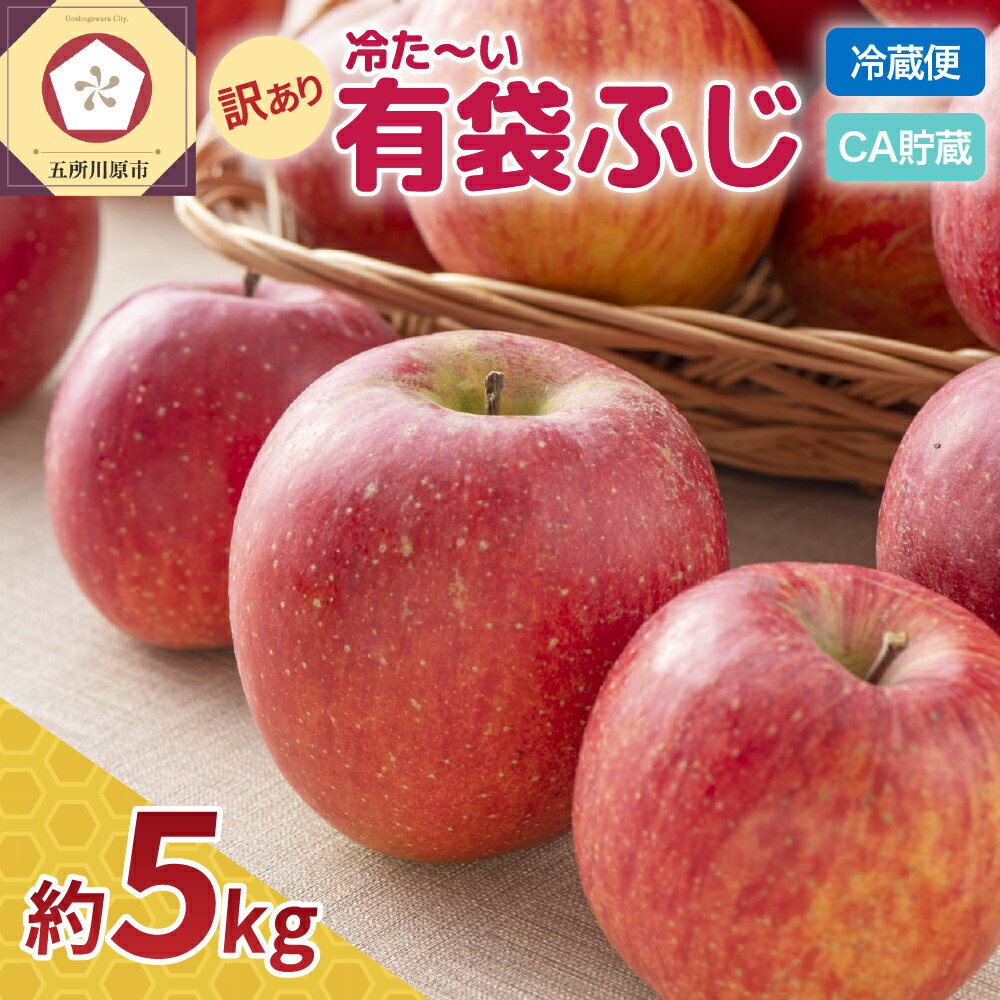 【ふるさと納税】【発送時期が選べる】CA貯蔵 冷た～い有袋ふじ 青森産 約5kg クール便【 有袋栽培 CA貯蔵 クール便 果物類 林檎 リンゴ ふじりんご 家庭用 フルーツ 果物 青森 五所川原市 】 五所川原
