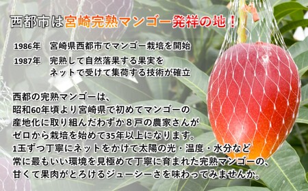 訳あり　西都市産完熟マンゴー2L×2玉　計700g＜1.2-37＞