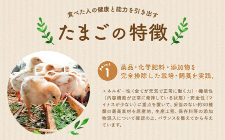 【定期便：12か月】【食べチョクアワード2025 畜産部門 1位の日本一のたまご】単なる平飼いではない『わたしたちのぷらいどたまご』6パック（60個）セット