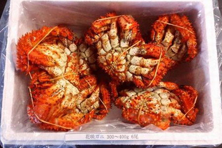 [12月21日決済分まで年内配送]【北海道根室産】花咲ガニ300～400g×6尾 A-57004