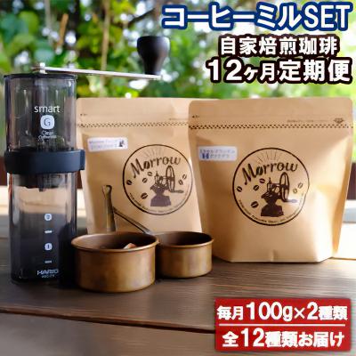 ふるさと納税 小郡市 Morrow珈琲 12ヵ月定期便&amp;コーヒーミル・スマートG[No5354-2081]