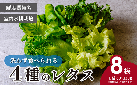 ＜洗わず食べられる・室内水耕栽培＞ 4種のレタス 8袋(80～130g/袋) | レタス フリルレタス ﾚﾀｽ グリーンジャケット グリーンリーフ サラダ菜 ﾚﾀｽ グリーンオーク 新鮮レタス ﾚﾀｽ オーガニック野菜 野菜直送 ﾚﾀｽ フレッシュ サラダ用野菜 健康志向 ﾚﾀｽ こだわり フレッシュ 産地直送 ﾚﾀｽ 食品ギフト セット 緑黄色野菜 ﾚﾀｽ 新鮮 安心野菜 旬 低カロリー ﾚﾀｽ レタスボウル カロテン ﾚﾀｽ 埼玉県 東松山市