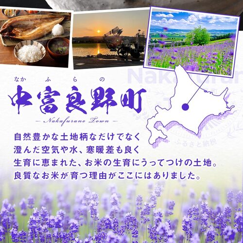 【令和7年度産】ゆめぴりか 精米 9kg(4.5kg×2袋）