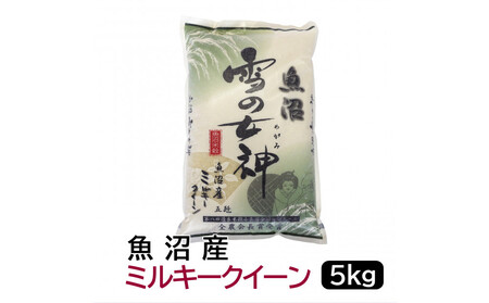 【令和7年産】お米マイスター厳選！魚沼産ミルキークイーン5kg 新潟県 5キロ