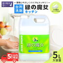 【ふるさと納税】食器用 洗剤 排水口もスッキリ 緑の魔女 キッチン 5L (5L×1本) | 食器用洗剤 台所用洗剤 食器洗剤 台所洗剤 液体洗剤 食器用液体洗剤 キッチン パイプ パイプクリーナー 排水口 環境配慮 植物由来 天然素材 ヤシ油 エコ 油汚れ 詰替え 茨城県 龍ケ崎市