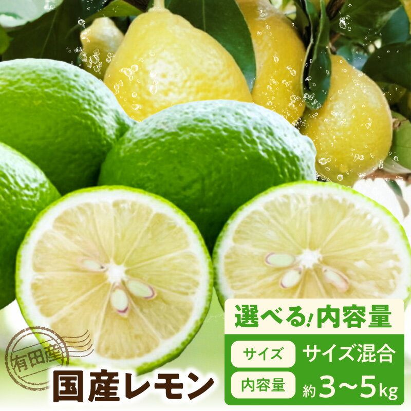 【ふるさと納税】【2026年先行予約】 有田産 レモン 選べる 内容量 約3kg 約5kg サイズ混合 国産 ノーワックス 肉料理 魚料理 酎ハイ シロップ お菓子作り 果物 フルーツ 柑橘 お取り寄せ お取り寄せフルーツ 和歌山県 湯浅町 送料無料