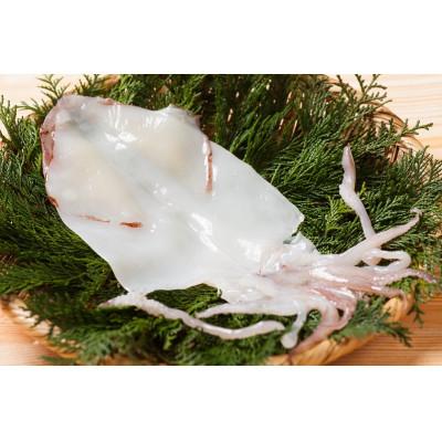 ふるさと納税 福岡市 博多製造　九州産無添加やりいか一夜干し EX07