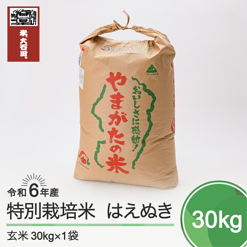 【ふるさと納税】 米 令和6年産 はえぬき30kg 大石田町産 特別栽培米 玄米 送料無料 ※沖縄・離島への配送不可 ja-hagxb30