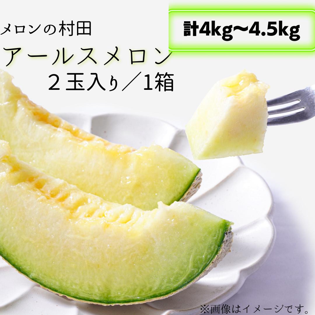 
アールスメロン（2玉入り1箱）計4kg～4.5kg
