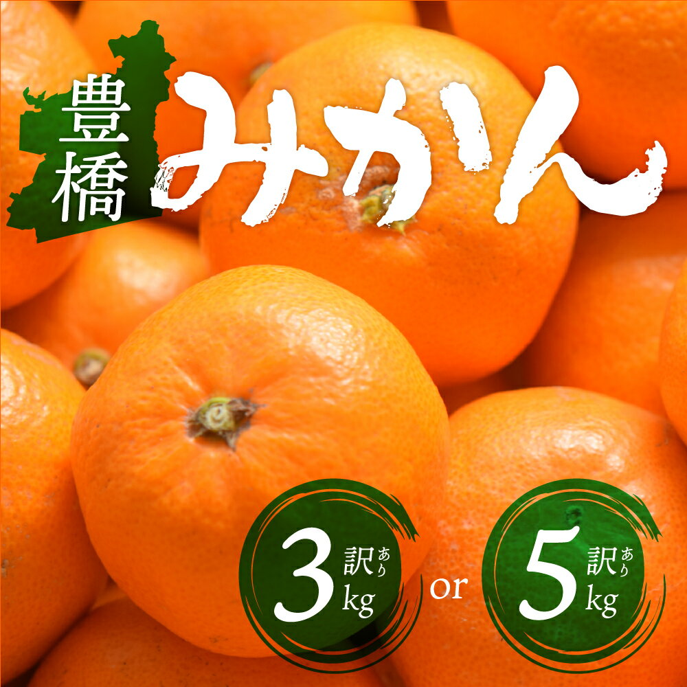 【ふるさと納税】≪先行予約≫豊橋みかん 訳あり 3kg ~ 5kg 選べる容量 みかん ミカン 蜜柑 mikan 柑橘 旬 フルーツ 果物 ワケアリ 訳アリ 愛知県 豊橋市 12000円 15000円 送料無料