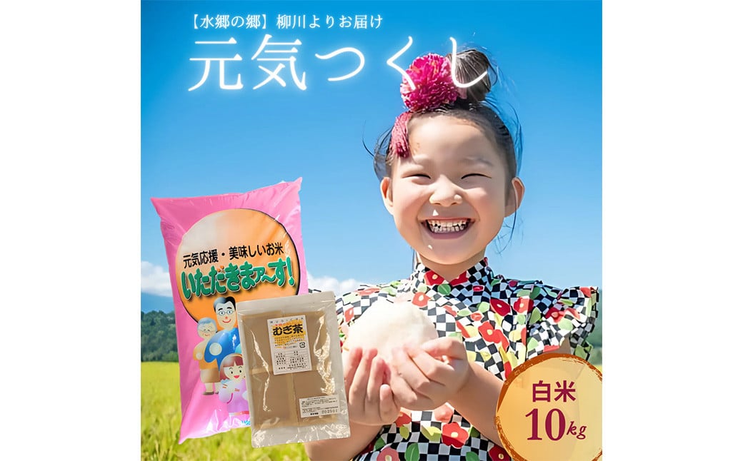 【柳川のお米】 令和7年産 元気つくし 10kg と 麦茶 16パック【2025年12月上旬から順次発送予定】 白米 お茶 パック セット 福岡県 柳川市