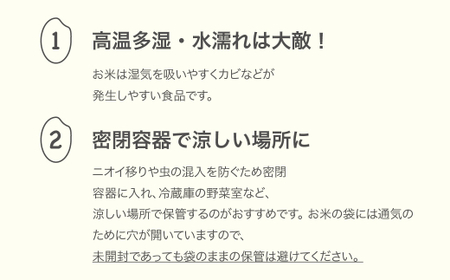 新米 米 10kg 5kg×2 はえぬき 玄米 令和6年産 2024年産 山形県産 ※沖縄・離島への配送不可 mk-haxxb10-g