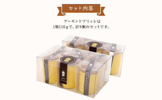 ジャージー牧場らいらっく アーモンドブリュレ9個セット AS2BB3