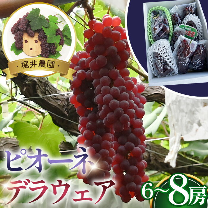 【ふるさと納税】No.311 ピオーネ2房とデラウエアの詰め合わせ / 甘い セット 果物 果実 フルーツ ブドウ ぶどう 葡萄 送料無料 大阪府