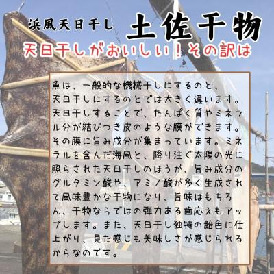 ふるさと納税 東洋町 天日干し 土佐干物 旬の地魚12尾セット 期間限定! |  | 03