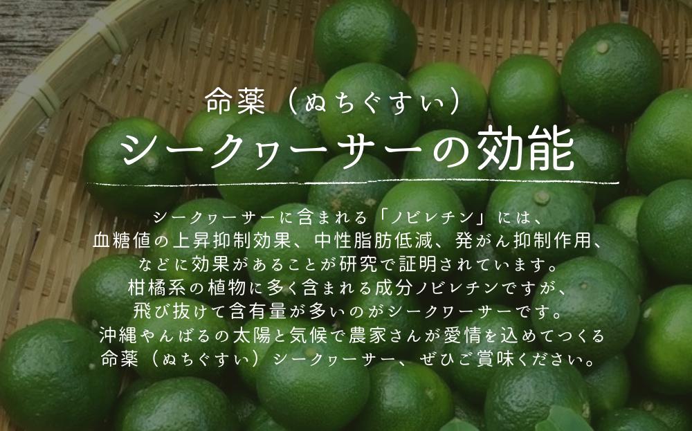 【2025年9月発送】ゆいゆい国頭厳選！青切りシークヮーサー５㎏