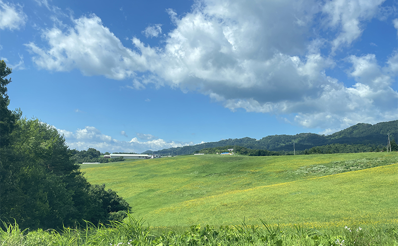 【有機肥料】羽後ユーキ(C/N比13以上) 40L (約12kg) 肥料 堆肥 有機堆肥 ガーデニング 自家栽培 農業 循環型農業 国産