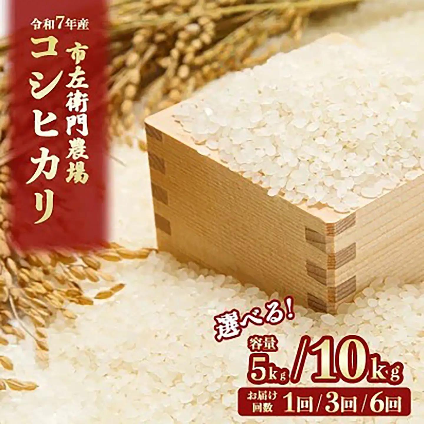 令和7年産 市左衛門農場コシヒカリ10kg(玄米) こしひかり