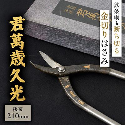 ふるさと納税 館山市 伝統的工芸品 金切りはさみ「君萬歳久光」 抉刃210mm