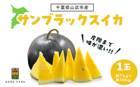サンブラックスイカ　SMAF005