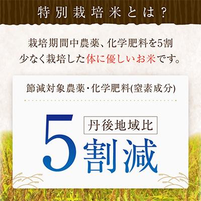 ふるさと納税 京丹後市 令和7年産　特別栽培米丹後こしひかり5kg |  | 02