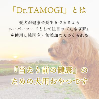 ふるさと納税 あさぎり町 犬用おやつ 「Dr.TAMOGI(ふりかけ) 80g×1袋」純国産 |  | 01