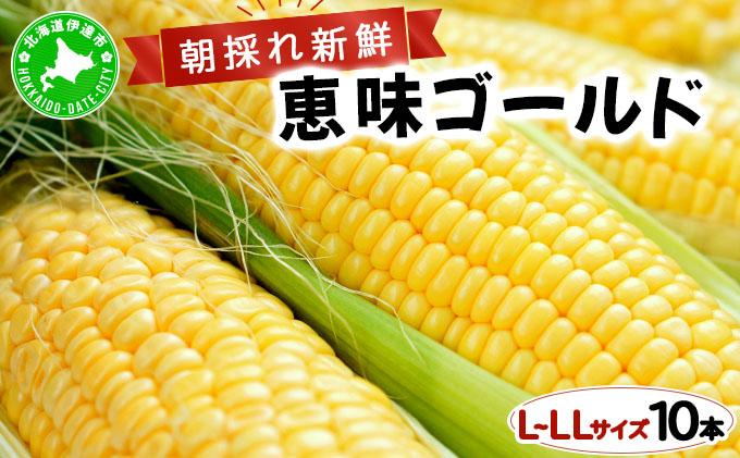 先行予約 【 2025年 発送 】北海道 朝もぎ とうもろこし 恵味 ゴールド L-LLサイズ 10本 スイート コーン トウモロコシ とうきび 旬 完熟 野菜 採れたて 朝採り 甘い めぐみ 産地直