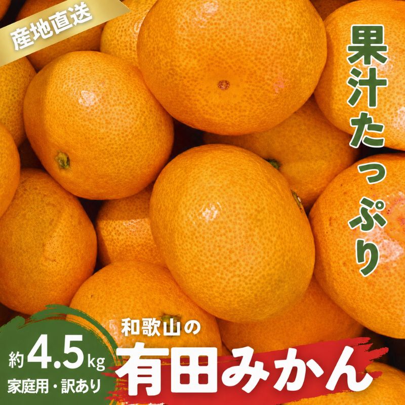 【ふるさと納税】家庭用 有田みかん 和歌山 訳あり わけあり 大玉(2L,3Lサイズ混合) 4.5kg【11月上旬～1月下旬頃に順次発送】/ みかん フルーツ 果物 くだもの 蜜柑 柑橘 和歌山 おすすめ