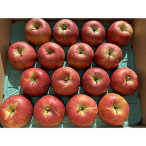 シャキッ!甘～い!シナノスイート 約5kg【1536024】