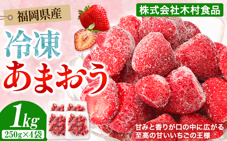 福岡県産 冷凍あまおう 小分けパック 1kg(250g×4袋) 株式会社木村食品《90日以内に出荷予定(土日祝除く)》福岡県 小竹町 冷凍あまおう いちご 冷凍フルーツ 果物 送料無料---sc_fkmramo_90d_r7_11500_1kg---