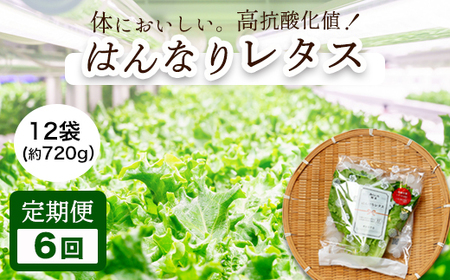 【 定期便６回 】 みらい乃野菜 はんなりレタス 12袋 ： 720g×6回 レタス 袋入 【送料無料】 水耕栽培 野菜 れたす 葉物 サラダ 高抗酸化値 低硝酸態窒素 小分け 小袋 そのまま 食べれる 健康 身体にやさしい ６回 奇数月