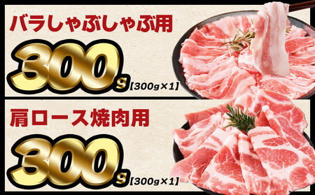 ＜豚肉バラエティー詰合せセット 4.1kg＞1か月程度で順次出荷【 国産 宮崎県産 ぶた にく 精肉 とんかつ トンカツ 焼肉 焼き肉 スライス 小間切れ 豚こま 詰め合わせ 6種類 肩ロース ウデ 