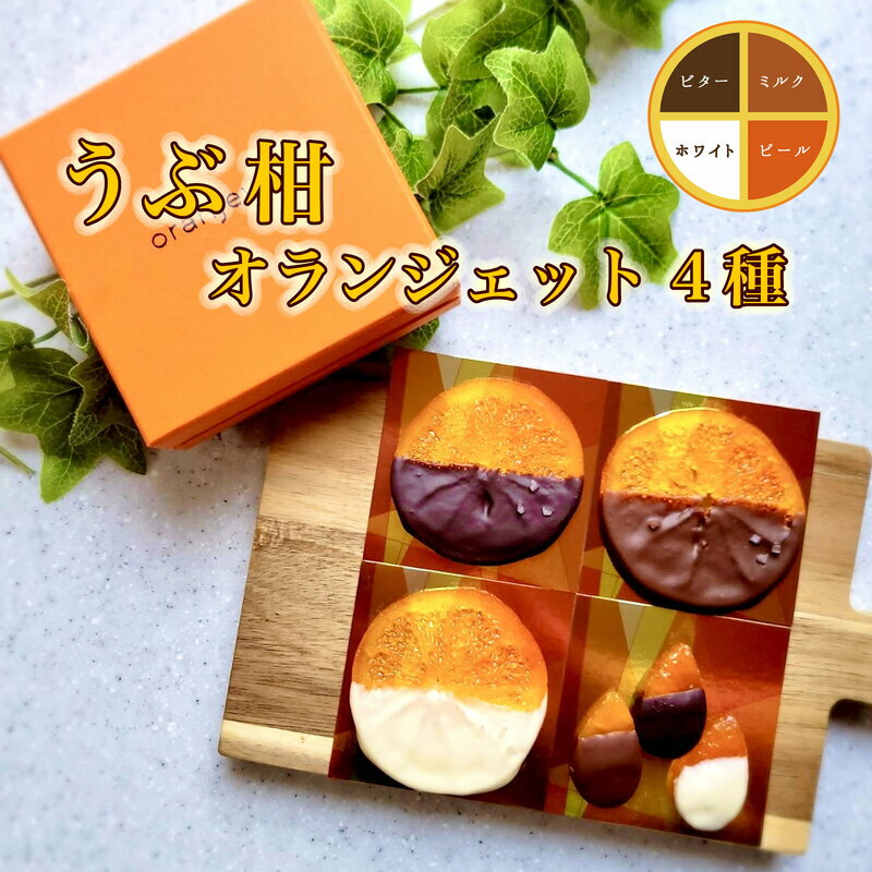 【ふるさと納税】うぶ柑 オランジェット 4枚 セット 輪切り 3枚 オレンジ ピール 1枚 バレンタイン 箱 天草 無人島 産島 甘夏 甘酸っぱい ほろ苦い 塩 トッピング 香り 豊か チョコレート シンプル 贈り物 お取り寄せ 熊本県 天草市 送料無料