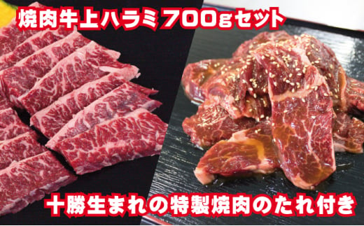 
            牛上ハラミ（サガリ）700g タレ付き焼肉セット【 牛肉 豚肉 焼き肉 惣菜 冷凍 北海道 十勝 幕別 ふるさと納税 送料無料 】 [№5749-1012]
          