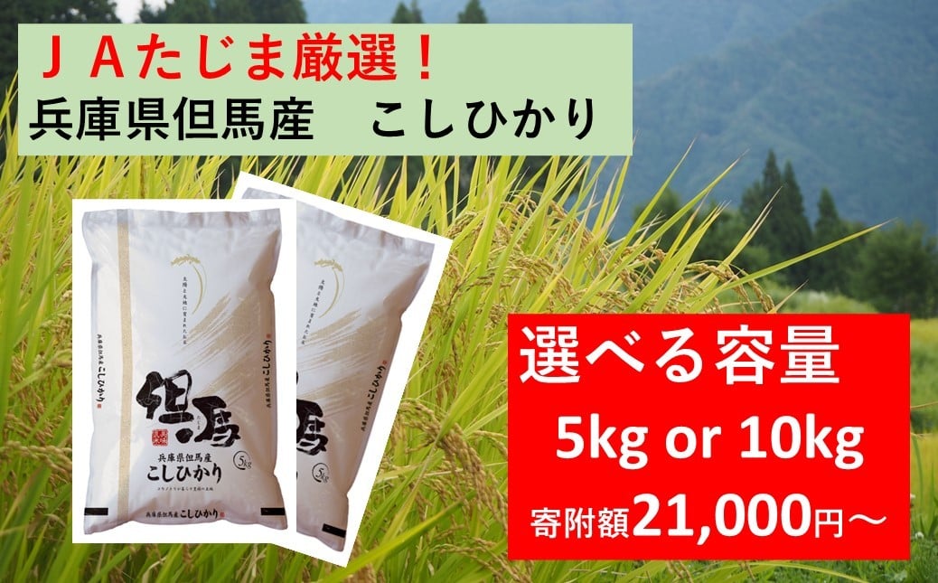 
            【 先行予約 】 JAたじま厳選！ 兵庫県但馬産こしひかり 5kg（5kg×1袋） or 10kg（5kg×2袋） 兵庫県北部産こしひかり 米食味ランキング特Ａ獲得 兵庫県地域資源認定 兵庫県産特Ａ米
          