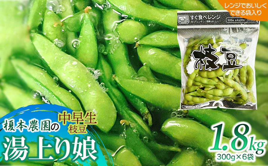
                  【令和9年産先行予約】 榎本農園の中早生枝豆「湯上り娘」 1.8kg (電子レンジでおいしく出来る袋入り 300g×6袋）K-934　| 枝豆 えだまめ 豆 1.8キロ 夏の味覚 おつまみ 旬の野菜 期間限定 名産品 ビールのお供 手土産 山形県 庄内 東北 返礼品 2027
                
