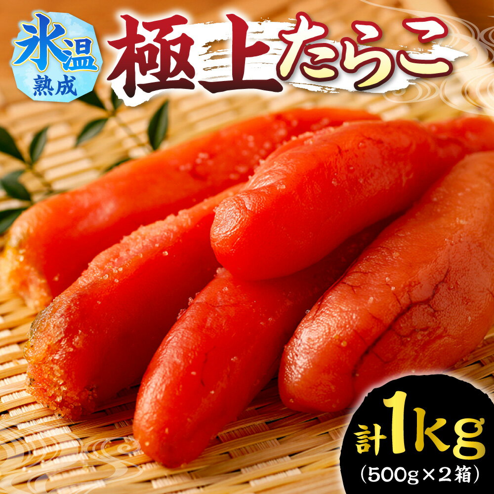 【ふるさと納税】 たらこ 500g×2 計1kg 氷温熟成 極上たらこ スケトウダラ 魚卵 高品質 海鮮 魚介 タラコ おかず ご飯のお供 おつまみ 冷凍 贈答用 ギフト 贈り物 北海道 札幌市