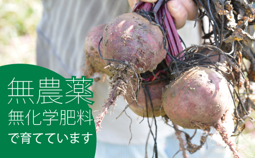 2026年産 相馬ファーム季節の野菜詰め合わせ【AH-001】
