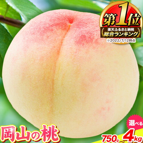 【ふるさと納税】桃 もも 訳あり 岡山県産 岡山の桃 選べる 約750g 1kg 4kg《6月下旬-9月上旬頃出荷》 ご家庭用 訳あり 白桃 岡山 白桃 はくとう スイーツ フルーツ 果物 デザート 旬 岡山県 矢掛町 モモ 先行予約 送料無料 清水白桃 白鳳 白麗