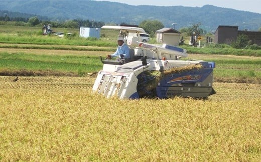 75-8N051新潟県長岡産コシヒカリ5kg（特別栽培米）【2026年11月発送】