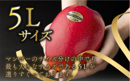【やました農園】＜先行予約＞糖度15度以上の宮崎完熟マンゴー(5L×1玉入・贈答用) ＜ギフト用＞ 2箱 AE-C2-2