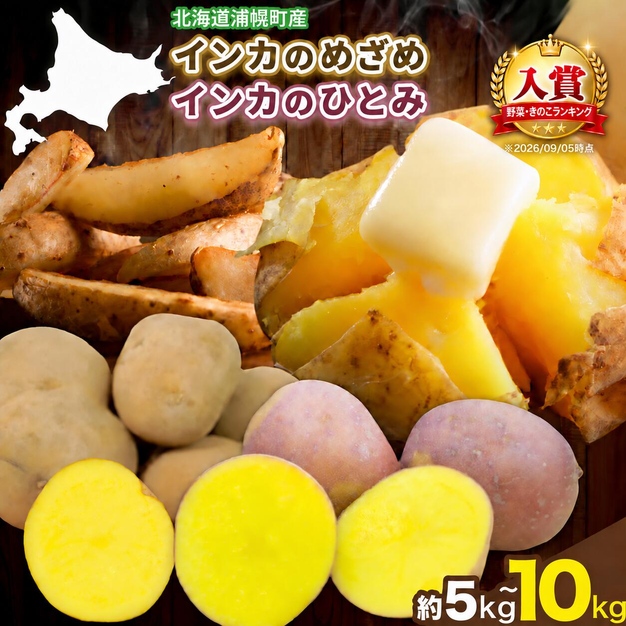 【ふるさと納税】インカのめざめ インカのひとみ 選べる 5kg 10kg じゃがいも 飯山農場《9月中旬-3月上旬頃出荷予定》芋 ジャガイモ 野菜 送料無料 北海道 浦幌町 楽天スーパーSALE