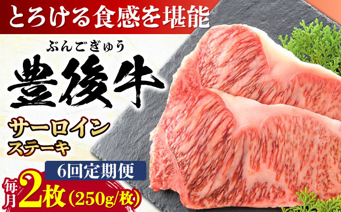
            【全6回定期便】おおいた豊後牛 サーロインステーキ 500g (250g×2枚) 日田市 / 株式会社MEAT PLUS 牛肉 おおいた豊後牛 おおいた 豊後牛 黒毛和牛 サーロイン サーロインステーキ ステーキ 国産 和牛 [AREI057]
          